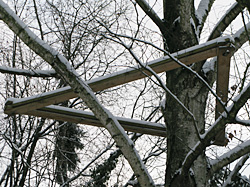 Schnee Weisner