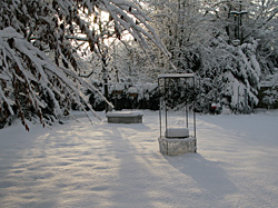 Schnee Welter/Amann