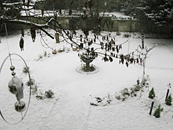 Schnee Walcher/Astor