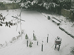 Schnee Cedel