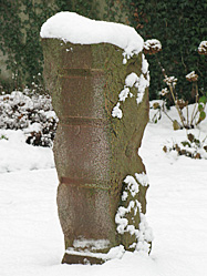 Schnee Konrad