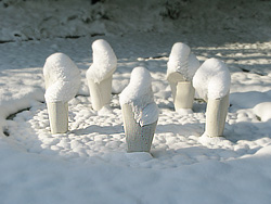 Schnee Egggeling