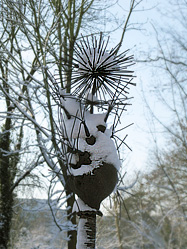 Schnee Welter