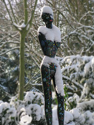 Schnee Cedel