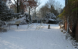 Schnee im Garten