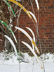 Schnee Vander