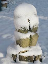 Schnee Voets