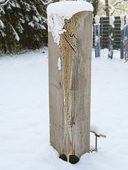 Schnee Hahn