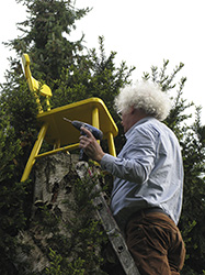 Aufbau