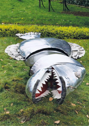 Versteckter Wadenbei&szlig;er im flachem Wasser