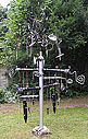 Blinzelbaum