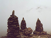 Steinmanndl