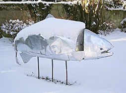 Lachs